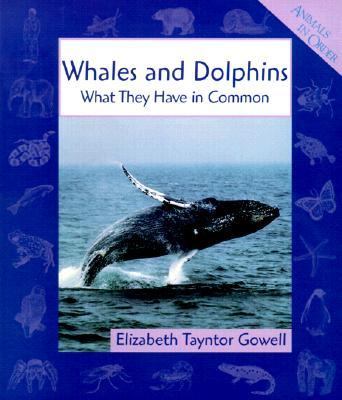 Whales and dolphins : what they have in common