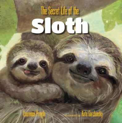 The secret life of the sloth