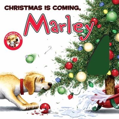 Christmas is coming, Marley