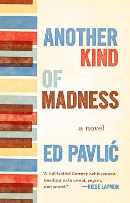 Another kind of madness : a novel