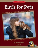 Birds for pets