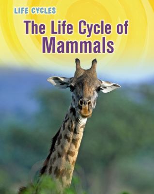 The life cycle of mammals