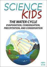The water cycle : precipitation, evaporation, condensation, conservation