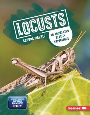 Locusts : an augmented reality experience
