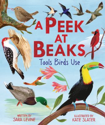A peek at beaks : tools birds use