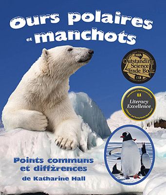 Ours polaires et manchots : points communs et diffzrences = Polar bears and penguins : a compare and contrast book