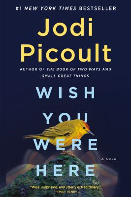 Wish you were here : a novel