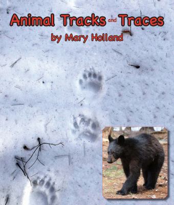 Animal tracks and traces