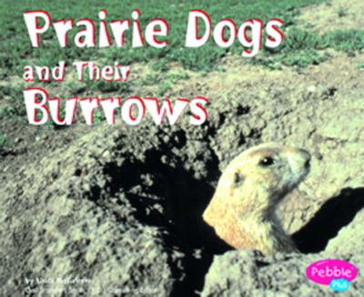Prairie dogs and their burrows