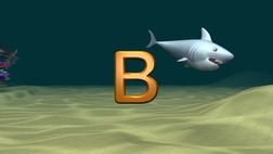 ABC Shark
