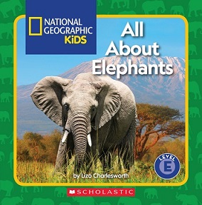 All about elephants