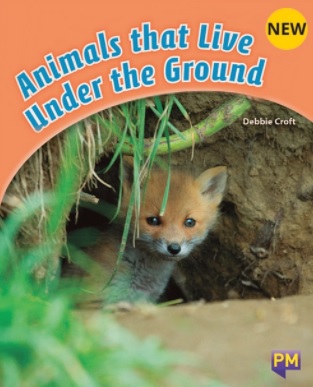 Animals that live under ground