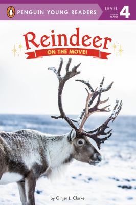 Reindeer : on the move!