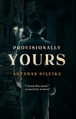 Provisionally yours : a novel