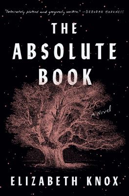 The absolute book : a novel