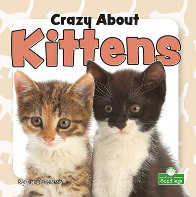 Crazy about kittens