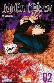 Jujutsu kaisen. 2, Naissance de la matrice /