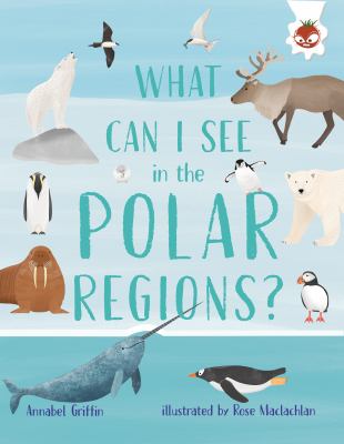 What can I see in the polar regions?