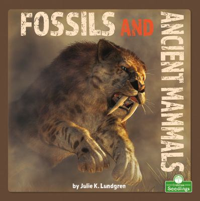 Fossils and ancient mammals