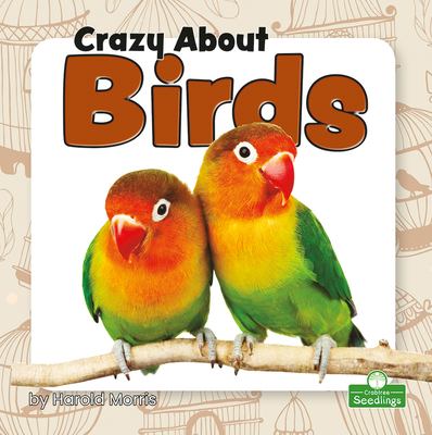 Crazy about birds