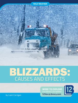 Blizzards : causes and effects