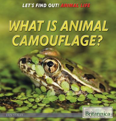 Animal camouflage