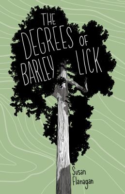 The degrees of Barley Lick : a young adult adventure novel