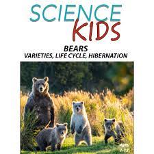 Bears : Varieties, Life Cycle, Hibernation