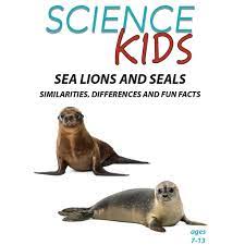 Sea Lions and Seals : Similarities, Differences and Fun Facts