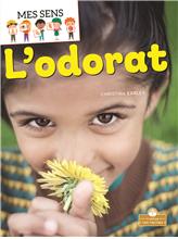 L'odorat