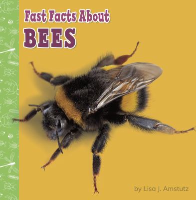 Fast facts about bees