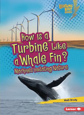 How is a turbine like a whale fin? : machines imitating nature