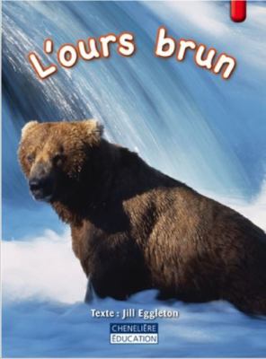 L'ours brun