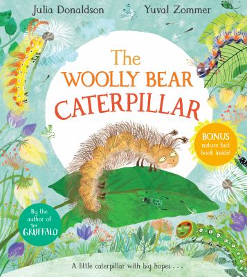 The woolly bear caterpillar