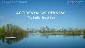 Accidental Wilderness :  The Leslie Street Spit