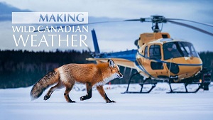 Making Wild Canadian Weather