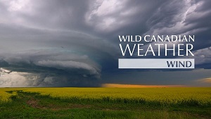 Wild Canadian Weather :  Wind