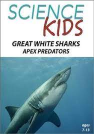 Great White Sharks : Apex Predators
