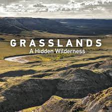Grasslands :  A Hidden Wilderness