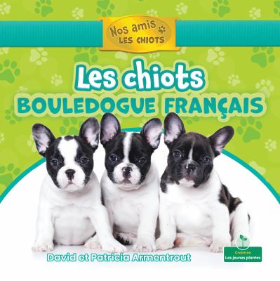 Les chiots bouledogue français