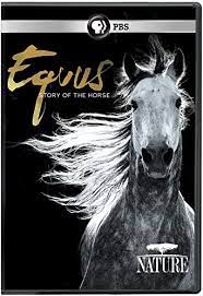 Equus :  Story of the Horse - Origins