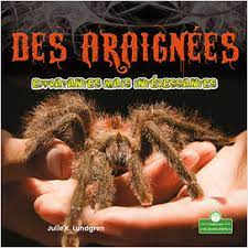 Des araignées effrayantes mais intéressantes
