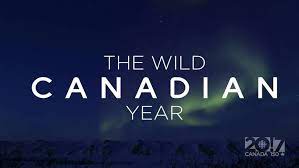 Making The Wild Canadian Year