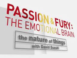 Passion and Fury, The Emotional Brain :  Happiness (Part 4 of 4)