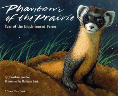 Phantom of the prairie : year of the black-footed ferret