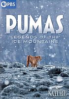Pumas, Legends of the Ice Mountains