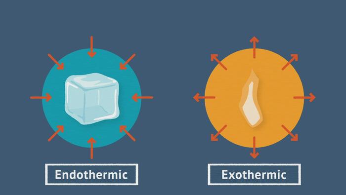 What are Endothermic and Exothermic Reactions?