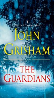 The Guardians : a novel