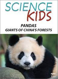 Pandas - Giants of China's Forests