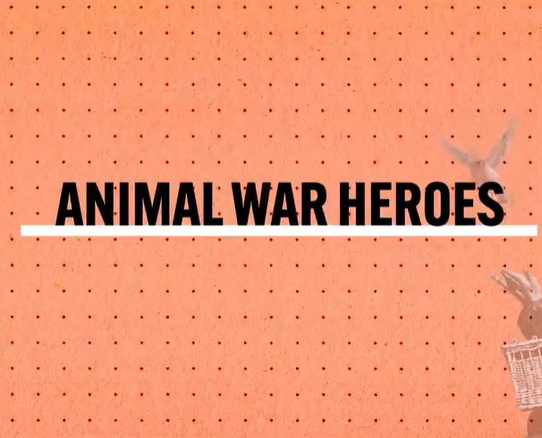 Animal War Heroes